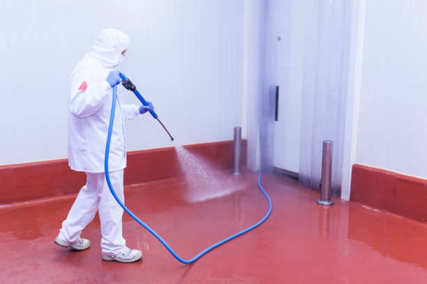 Best Building Exterior Washing  in Mokuleia, HI